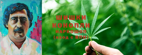 дживик Новокубанск