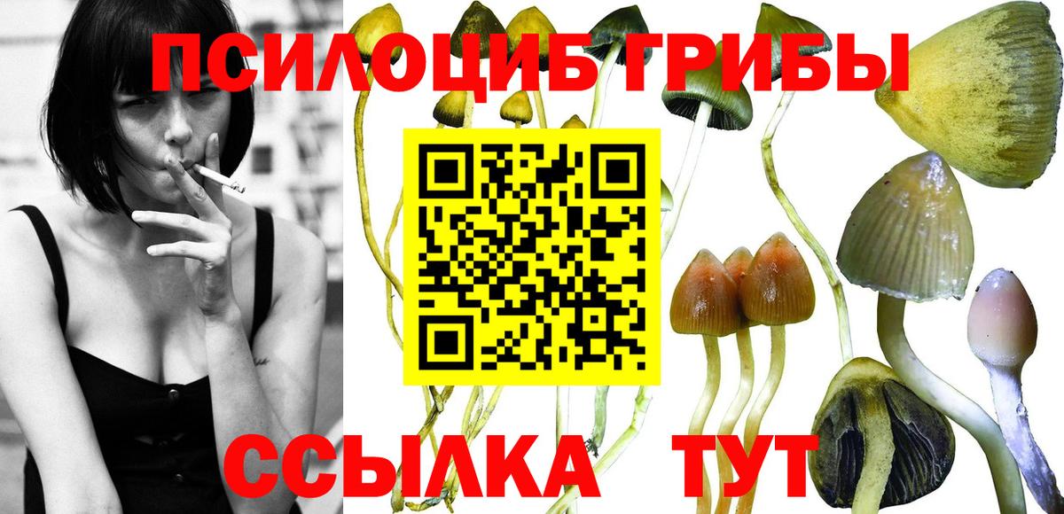Галлюциногенные грибы мухоморы  Галлюциногенные грибы Magic Shrooms  Балабаново  Вход с VPN 