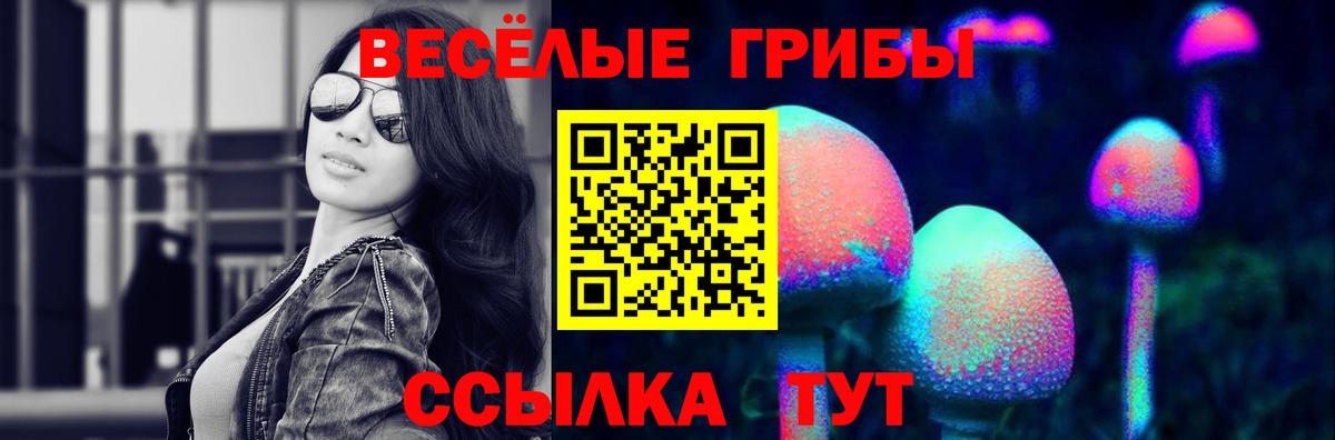 Псилоцибиновые грибы Psilocybe Балабаново