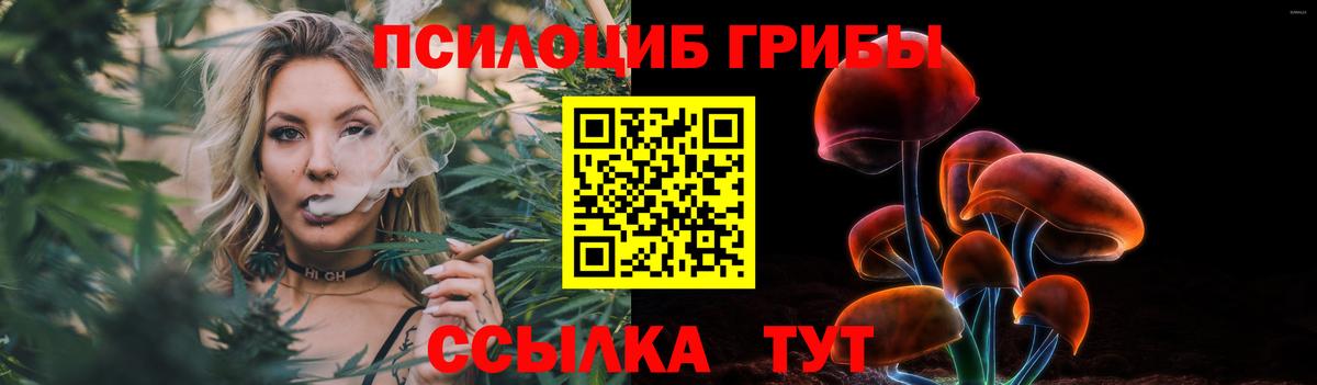 как найти закладки  Балабаново  Галлюциногенные грибы Magic Shrooms  Псилоцибиновые грибы мицелий 